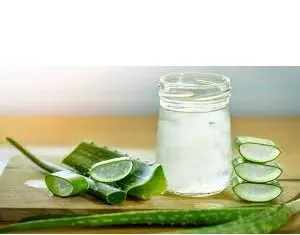 Aloe Vera – beneficii și proprietăți