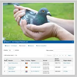 triplu-impact-porumbeii-team-florea-sorin-ob-in-3-victorii-formidabile-in-3-dintre-cele-mai-importante-competi-ii-columbofile-din-lume.jpg