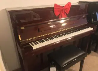 Cine este Castigatorul Marelui Premiu al Concursului National de Pian „Musica Mundi” Pianina Perzina Premiul cel Mare Casa Pianelor Boem si Bol Concurs National de Pian Musica Mundi