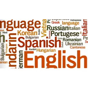 biroul-de-traduceri-inova-si-avantajele-unei-colaborari-cu-specialistii-in-traduceri.png