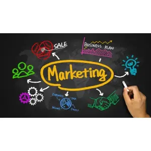 cand-e-momentul-potrivit-pentru-implementarea-unui-magazin-online-afla-de-ce-afacerea-ta-trebuie-sa-i-i-fundamenteze-prezen-a-in-mediul-online.jpg