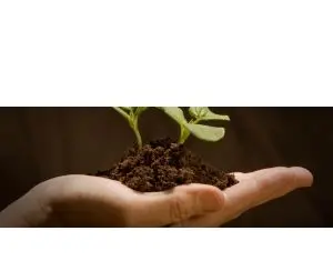 Nu Oricum, magazinul cu produse fitosanitare, mai usor de accesat ca oricand