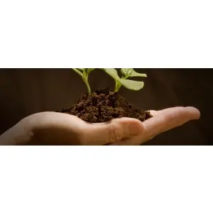 nu-oricum-magazinul-cu-produse-fitosanitare-mai-usor-de-accesat-ca-oricand.jpg