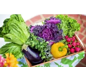 Efamilia.ro îți oferă sfaturi și recomandări pentru adoptarea unei alimentații sănătoase