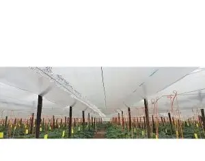 Acoperirea serelor si a solariilor