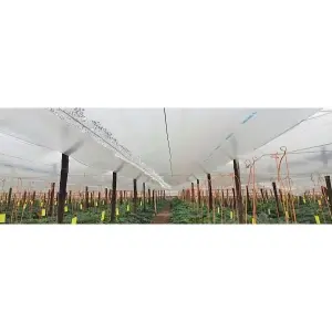 acoperirea-serelor-si-a-solariilor-solutii-practice-de-la-nuoricum.jpg