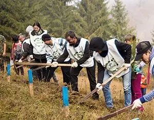 Pădurea JYSK la Roșia Montană – o miniplanetă verde