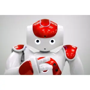 invata-sa-programezi-un-robot-umanoid-la-cursul-ecdl-computing-programare-nao-in-python.jpg