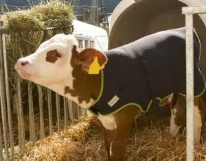 Super Farm Land, magazinul cu una dintre cele mai vaste colectii de produse pentru intretinerea fermei si pentru animale
