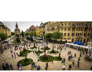 4 motive sa angajezi un detectiv particular in Timisoara
