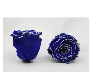 Florile criogenate – un cadou inedit pentru Craciun
