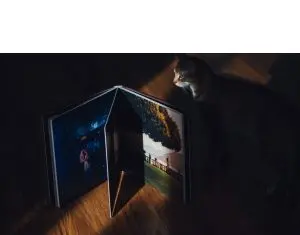 Lista de calitati pe care trebuie sa le aiba un fotograf de nunta