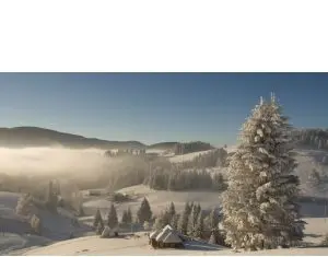 Sarbatori de poveste in Bucovina