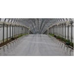 Sere calduroase in sezonul rece si recomandari de la NuOricum