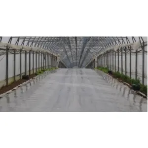 sere-calduroase-in-sezonul-rece-si-recomandari-de-la-nuoricum.jpg