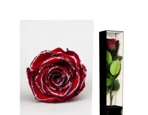 Crioflowers, sursa stocului de flori variate, pentru florarii