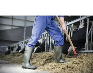 Super Farm Land include in portofoliul de produse si echipamentele de protectie
