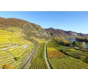 Viticultură digitală cu FieldBook AgriApps