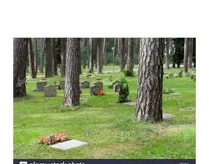 Deces in familie si ajutorul dat de stat pentru astfel de evenimente in 2020