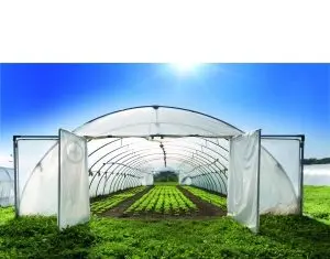 Nu Oricum, sursa echipamentelor necesare pentru sere si solarii
