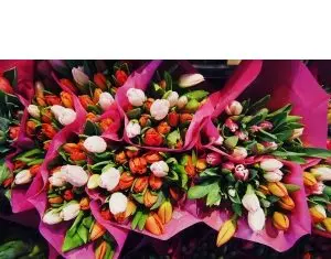 Nu stii ce sa-i oferi de 8 Martie? O florarie online cu experienta te poate ajuta!