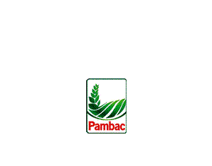 Pambac anunţă menţinerea neschimbată a preţurilor de vânzare către distribuitori şi magazine