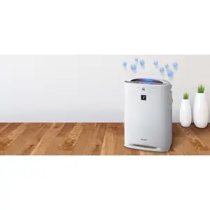 cat-de-important-este-un-purificator-de-aer.jpg