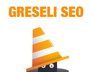 Cinci mari greseli in SEO