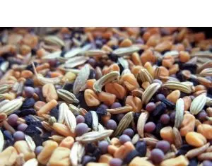Seminte de legume cu o putere germinativa mare