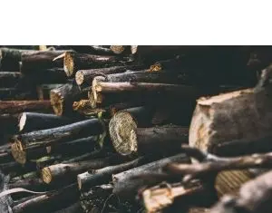 Cele mai puternice piese Stihl, in componenta drujbelor pentru activitati forestiere