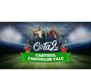 Ponturi pariuri- reflecta viziunea pariorilor profesionisti