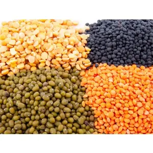 seminte-de-legume-cu-o-mare-putere-germinativa-disponibile-la-nuoricum.jpg