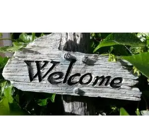 “Welcome to the Jungle House”