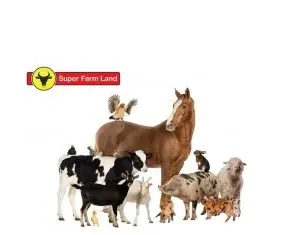 Super Farm Land sau, mai bine spus, mall-ul articolelor de zootehnie pentru romani!