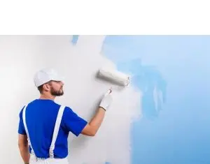 Ce-au facut romanii in casa pe perioada pandemiei ?