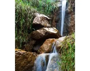 Despre calitatea apelor minerale din Romania