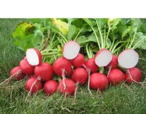 Pregatiti pentru toamna – seminte de legume de la NuOricum.ro!