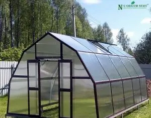Echipamente pentru sere si solarii sau cum gradinariti in siguranta pe timp de iarna
