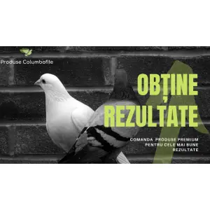 accesoriile-potrivite-porumbei-fericiti-solutii-pe-produsecolumbofile-ro1.png