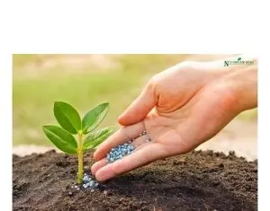 Nu Oricum – pentru un an viitor in care culturile agricole vor fi si mai prospere!