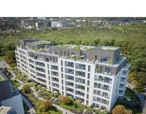 Speedwell a semnat contractul cu BTDConstruct & Ambient și începe lucrările de construcție pentru THE IVY