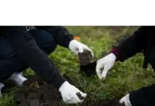 4 comunități noi au intrat în Pădurea Copiilor în această toamnă!