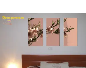 Cadoul perfect pentru cei dragi