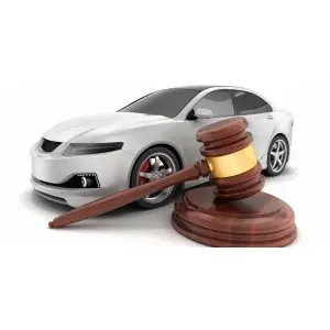 emilia-kruk-un-sprijin-pentru-diaspora-romanilor-din-italia-privind-actiunile-civile-de-sechestru-auto.jpg