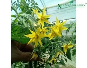 eshop destinat celor care investesc in agricultura