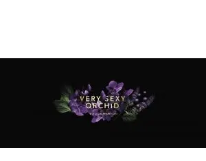 aromele de la Victoria’s Secret de care sa te indragostesti