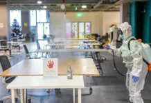 Dezinsectie Cluj: Soluții Profesionale pentru Combaterea Insectelor Nedorite