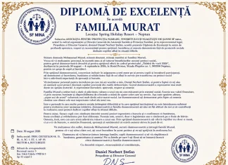 Daniel Norbert Ștefan Daniel Norbert Ștefan